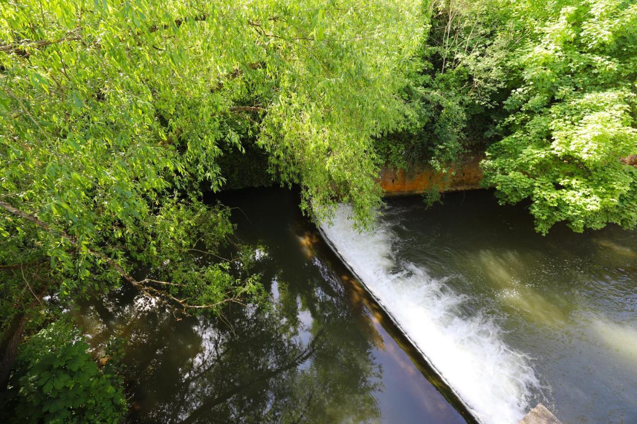 Aux Berges Du Bocq Villa Yvoir Bagian luar foto
